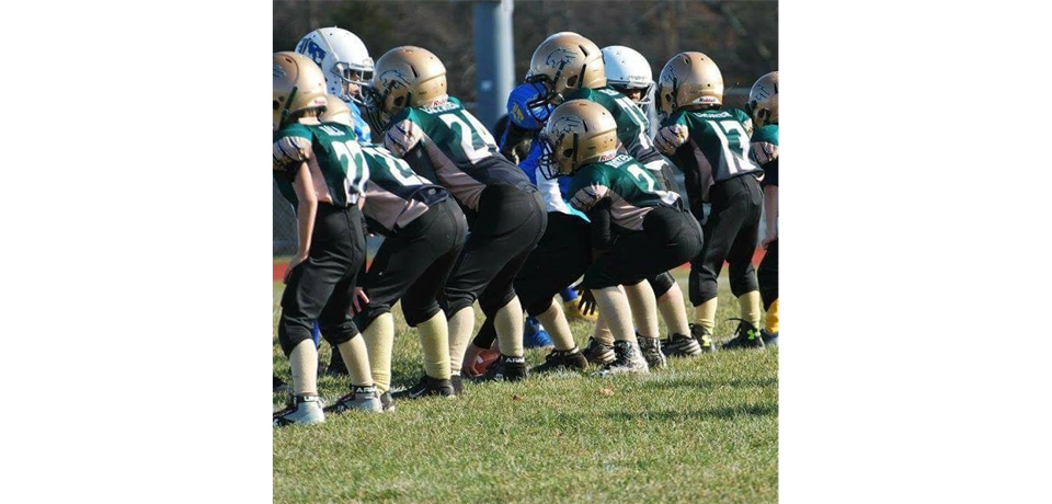 Pittsgrove Cougars